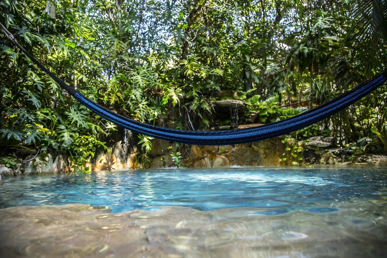 La Selva Mariposa location