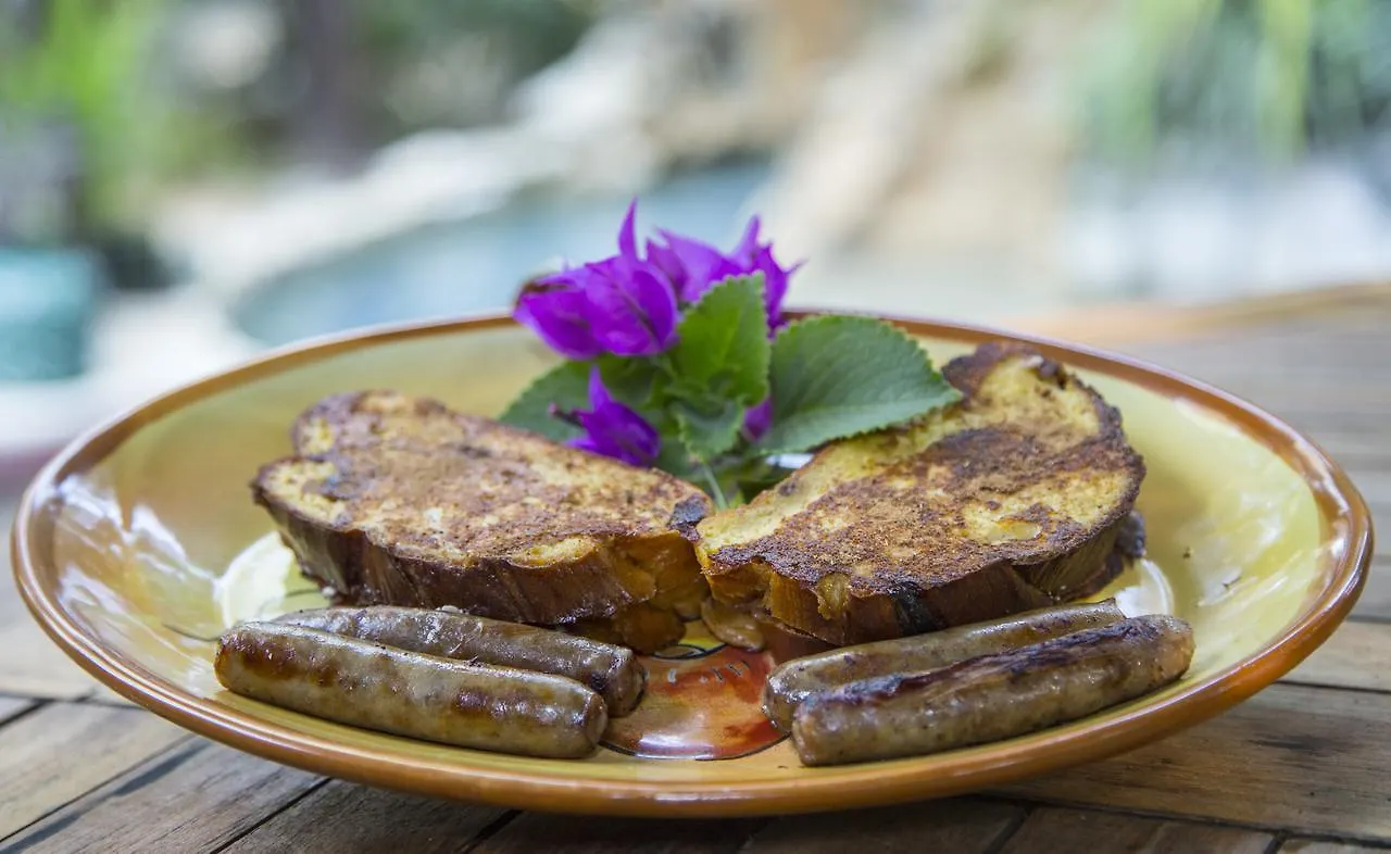La Selva Mariposa Bed & Breakfast Tulum