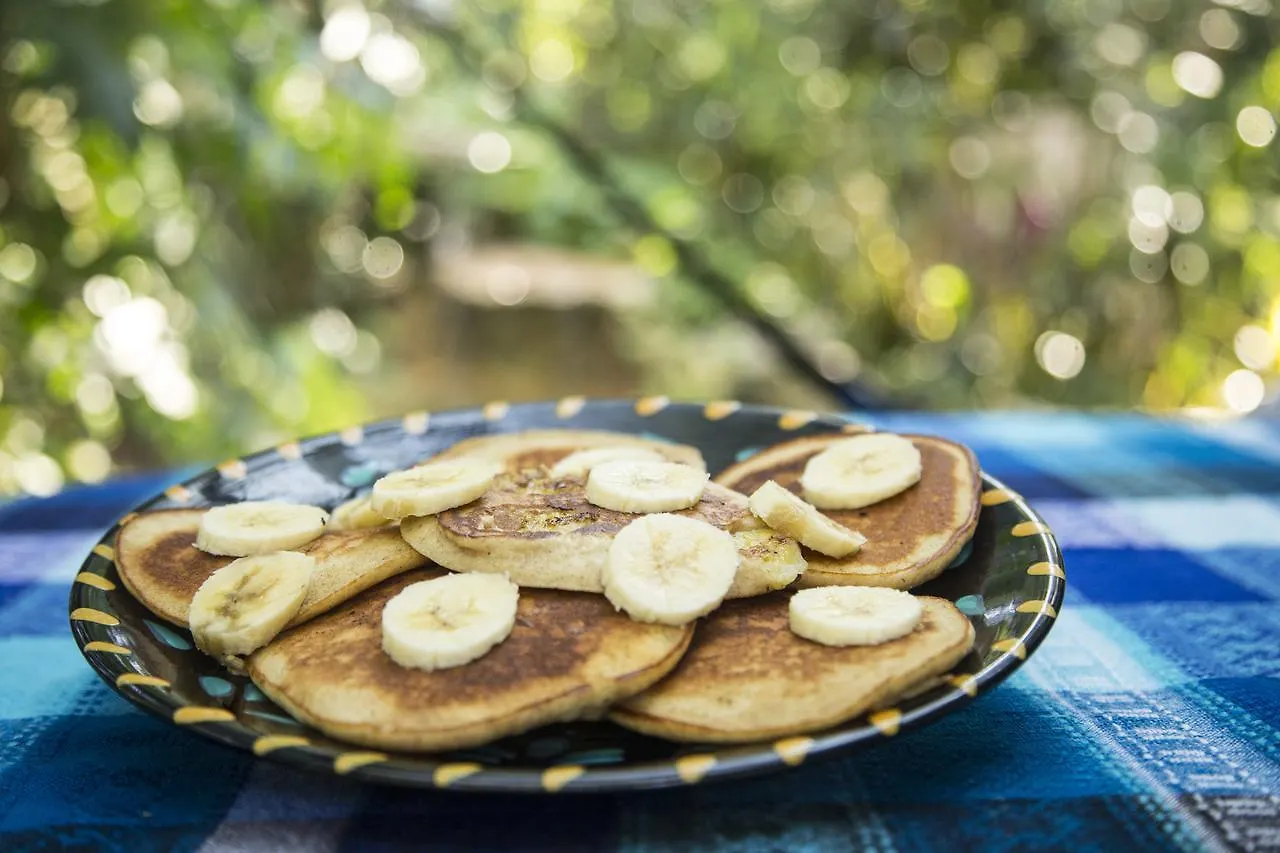 La Selva Mariposa Bed & Breakfast Tulum 0*,